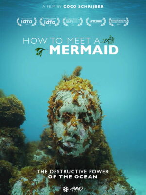 how to meet a mermaid