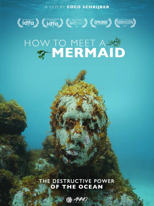 how to meet a mermaid