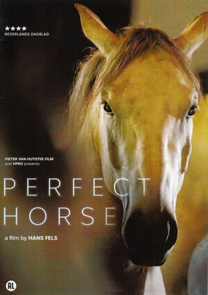 dvd perfect horse hans fels